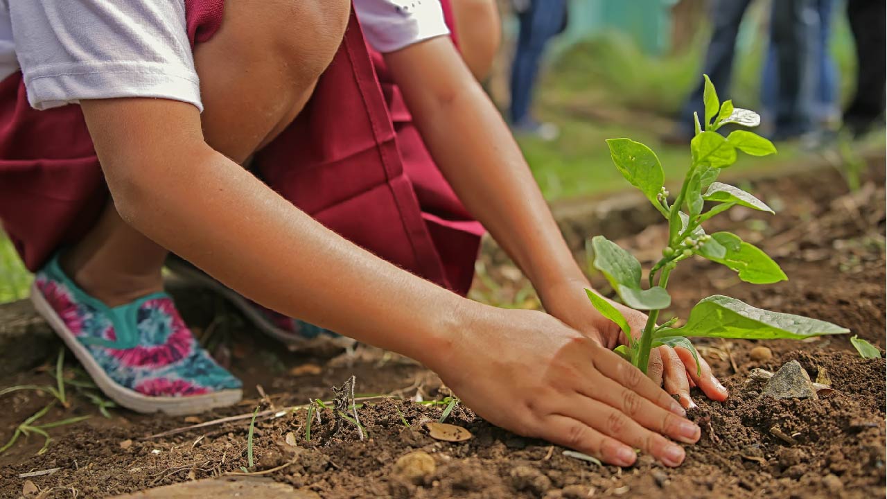 The Garden Project with Cathrine Sneed