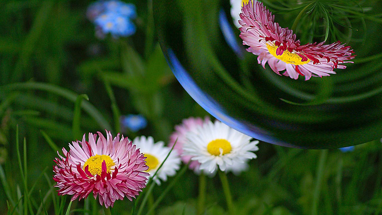 Lovingkindness with Sharon Salzberg